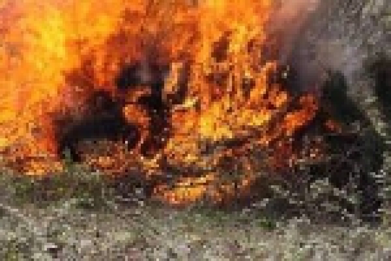 ۵۰ هکتار از مراتع این استان از ۱۵ خرداد تاکنون در ۲۰ فقره آتش سوزی طعمه حریق شده است.
