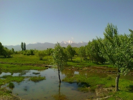 رتبه نخست تولید محصولات کشاورزی شهرستان بهار در استان همدان