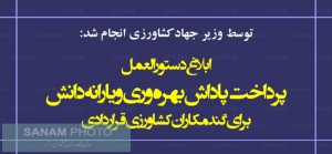 ابلاغ دستورالعمل پرداخت پاداش بهره وری و یارانه دانش برای گندکاران کشاورزی قراردادی