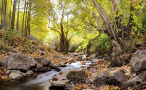 سراب فارسبان از زباله پاک می شود